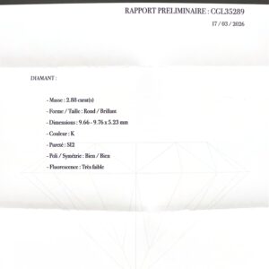 101. DIAMANT 288 cts K Si2 page 00001