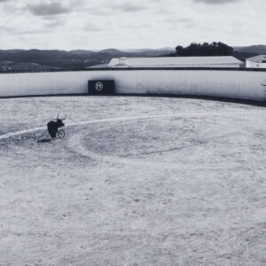 Alternative view of Lot 114 - vente 781 - Arts Basque & Landais - 2023-06-23T14:30