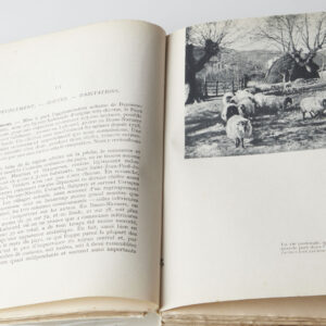 Alternative view of Lot 113 - vente 781 - Arts Basque & Landais - 2023-06-23T14:30