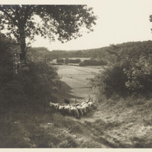 Lot 1 - vente 908 - Arts Basque & Landais - 2024-06-27T14:30
